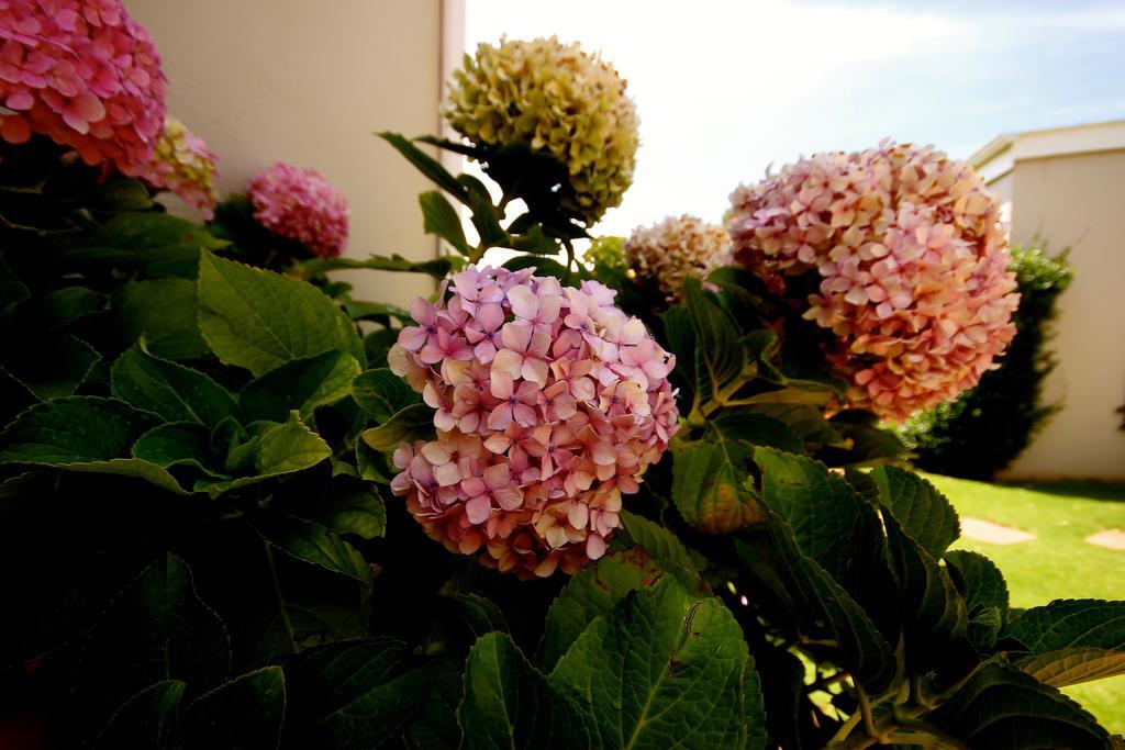 Melville Manor Guest House Йоханесбург Екстериор снимка